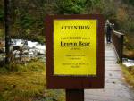 010-Bear Sign.jpg